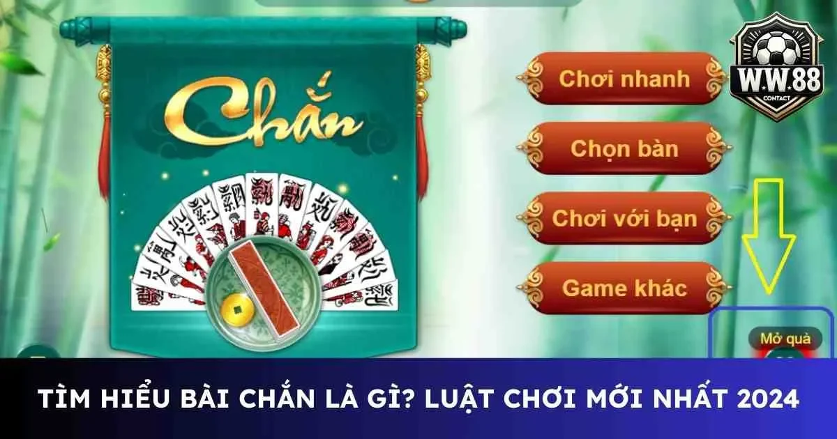 Bài chắn là gì?