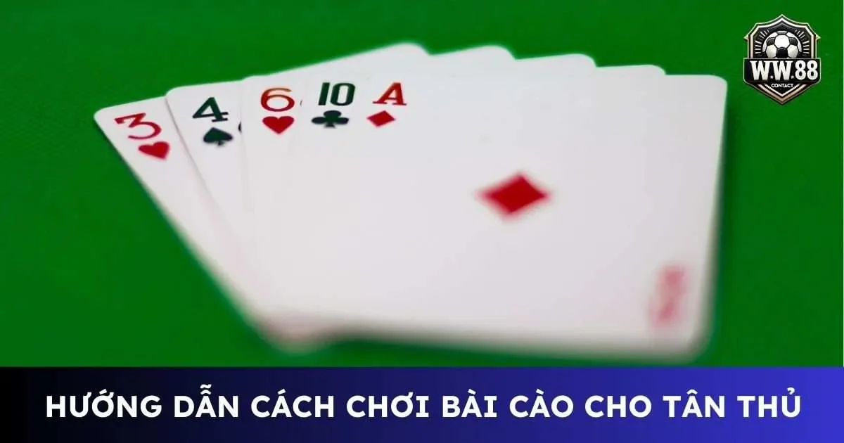 Cách chơi bài cào