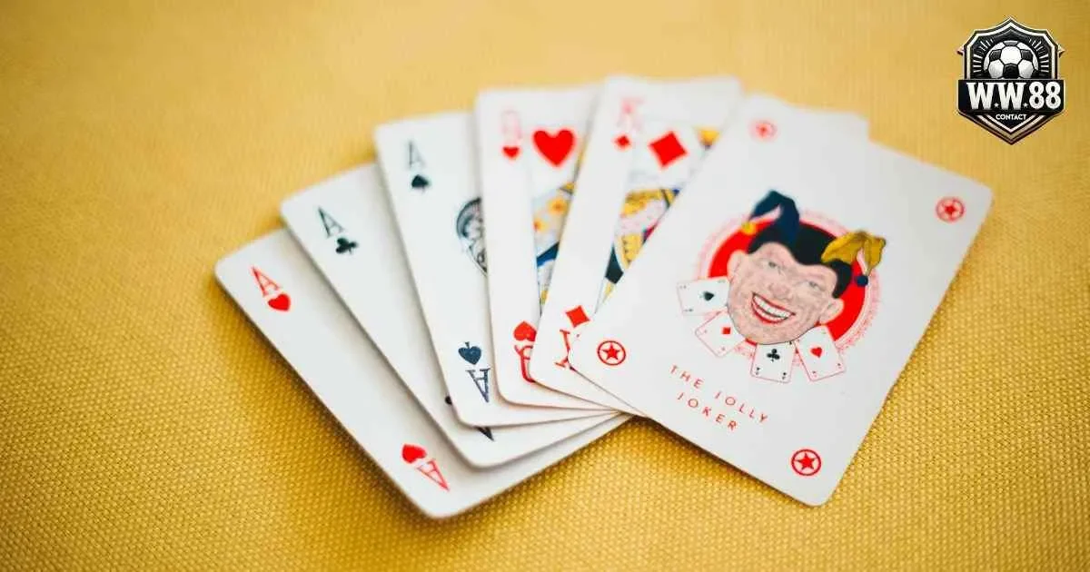 Bật mí cách chơi bài Catte nâng tầm thành cao thủ 2 Luật chơi cơ bản theo cách chơi bài Catte