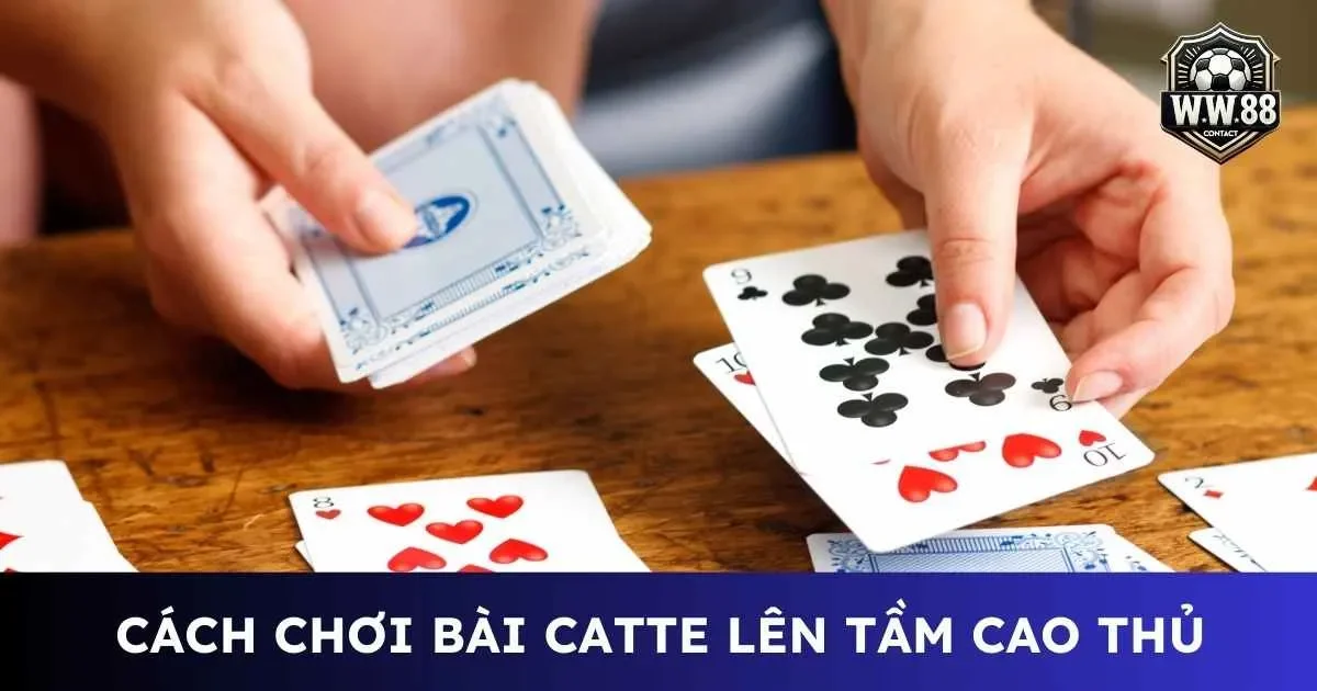 Cách chơi bài catte