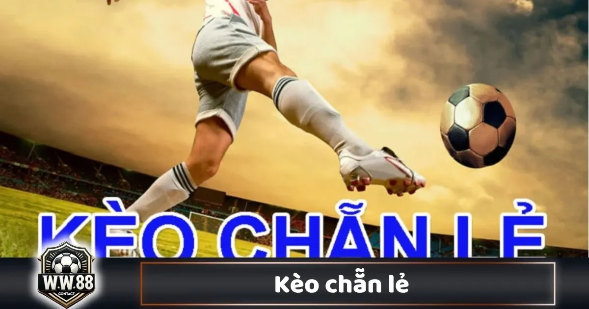Kèo Chẵn Lẻ Là Gì? Cách Đọc Kèo & Cách Chơi Tại WW88