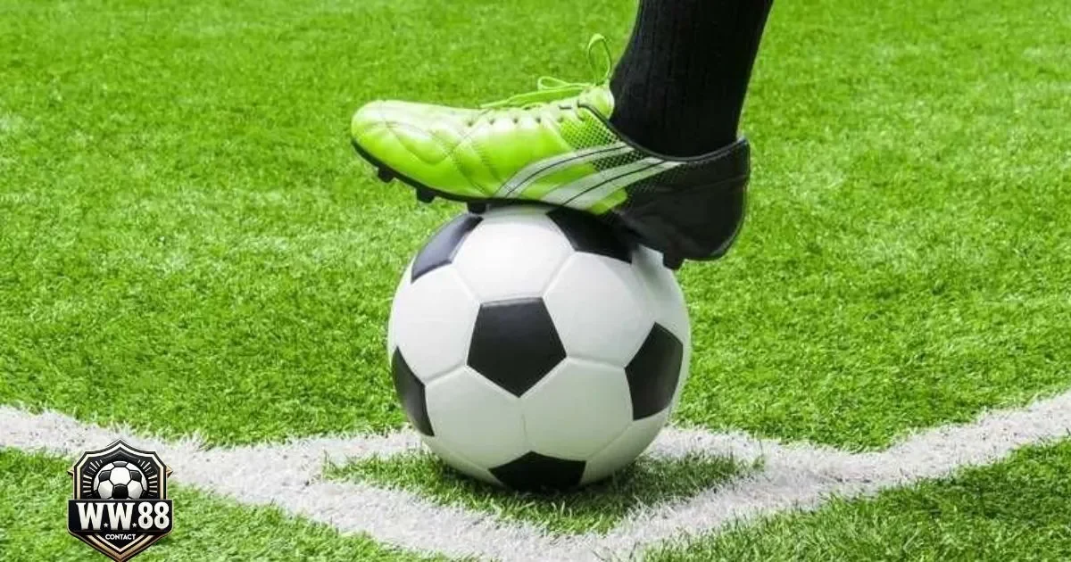 Kèo Chấp 0.5 Là Gì? Cách Đọc Kèo & Đặt Cược Tại WW88 4 Khi Nào Nên Đặt Cược Tài/Xỉu Kèm Với Kèo Chấp 0.5?