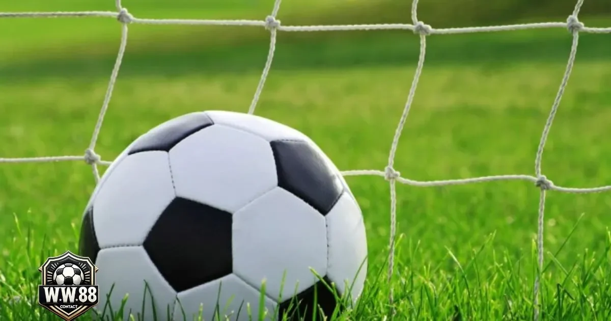 Kèo Chấp 1.25 Là Gì? Khi nào nên đặt cược vào đội cửa trên ở kèo chấp 1.25?