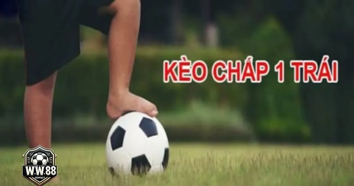 Kèo Chấp 1 Trái Là Gì? Cách Đọc Kèo & Đặt Cược Tại WW88 3 Cách nhận diện trận đấu có khả năng thắng kèo chấp 1 trái