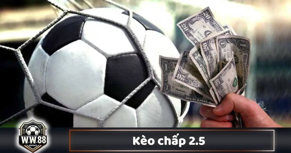 Kèo Chấp 2.5 Là Gì? Cách Đọc Kèo & Cách Chơi Tại WW88
