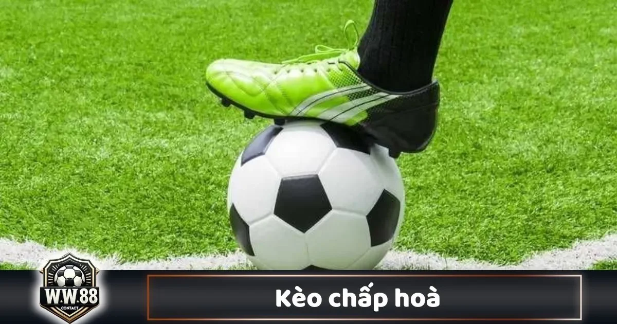 Khi Nào Nhà Cái Đưa Ra Kèo Chấp Hòa?