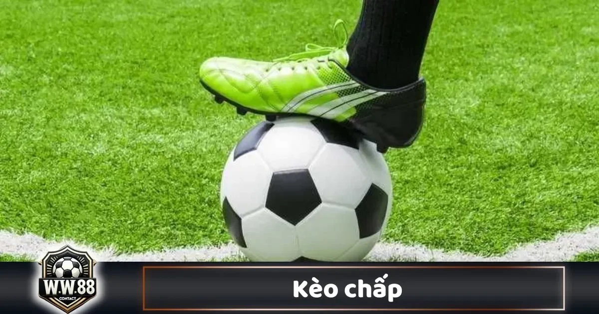 Kèo Chấp Là Gì? Cách Cá Cược & Đọc Kèo Chấp Tại WW88